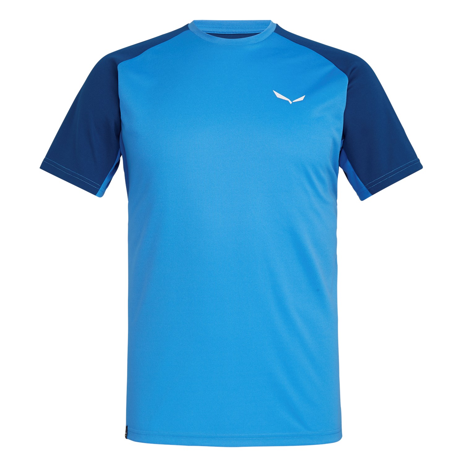 Salewa Sporty B 3 Dry Erkek T-Shirts Mavi/Kraliyet Mavisi Türkiye 854203AHK